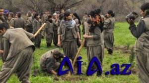 PKK-ya daha bir zərbə: terrorçuların əsas maliyyə mənbəyi kəsildi