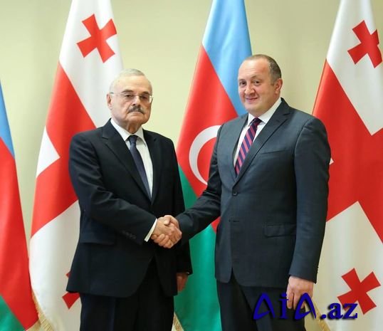 Artur Rasizadə Gürcüstan prezidenti ilə görüşdü