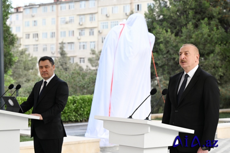 Continuous visits of heads of state of Turkic-speaking countries to Azerbaijan are the result of Mr. President Ilham Aliyev's foreign policy