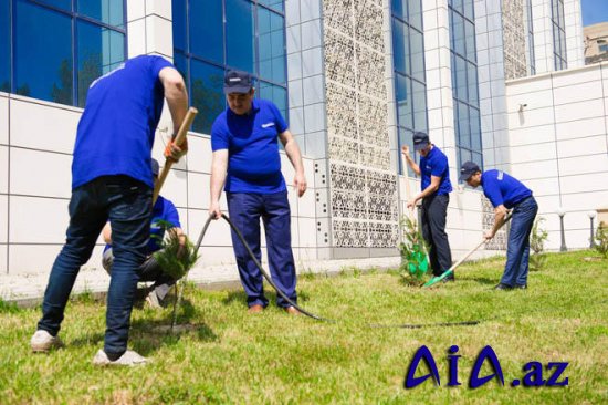 Rabitəçilər ağacəkmə aksiyasında iştirak ediblər