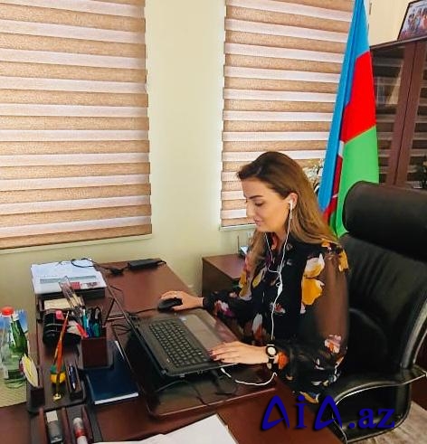 Pandemiyanın üzə çıxardığı gender bərabərsizliyi AŞPA-nın onlayn iclasında müzakirə olundu