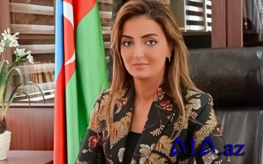 Könül Nurullayeva: “BMT başda olmaqla bütün beynəlxalq təşkilatlar təcavüzkar Ermənistana təzyiqi artırmalıdır”