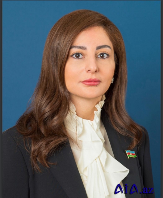 ATƏT PA-nın iclasında Ermənistanın təxribatları xatırladılıb
