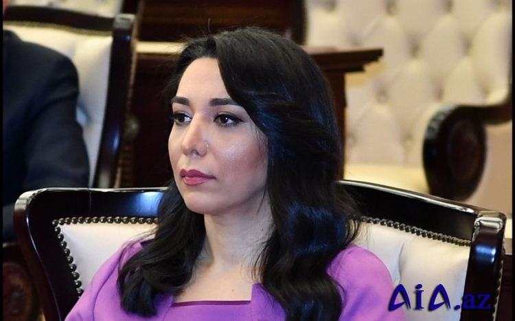 "Ermənistan etnik nifrət siyasətindən çəkinməlidir" -