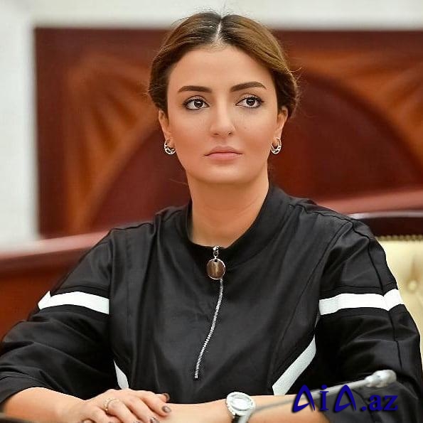 Könül Nurullayeva: “ABŞ Administrasiyası və Konqresi Cənubi Qafqaz bölgəsində sülh və davamlı inkişafda maraqlıdırsa, ikili standartlardan uzaq olmalıdır”