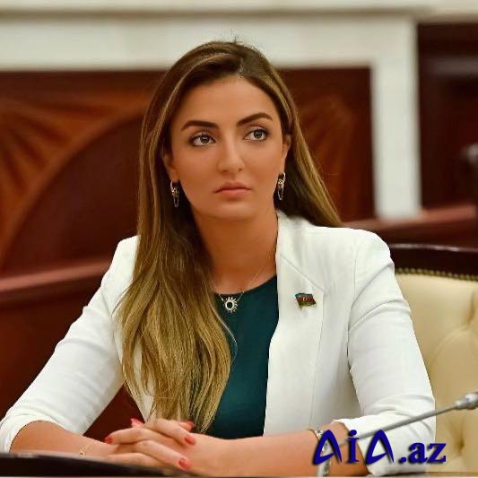 Könül Nurullayeva: "Təkliflərimi irəli sürdüm"