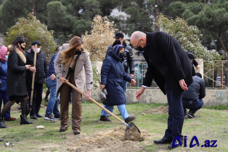 Millət vəkili Könül Nurullayeva “Vətən müharibəsi şəhidlərinin xatirərinə həsr edilmiş ağacəkmə aksiyası” təşkil edib