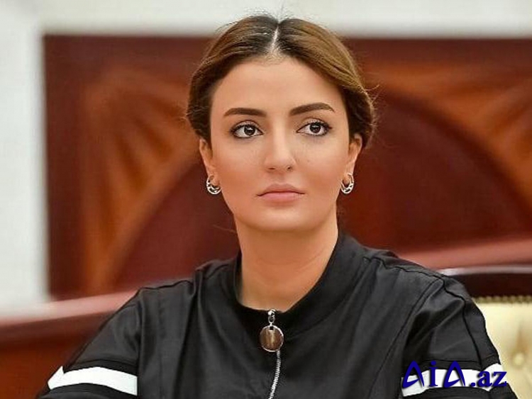 Könül Nurullayeva AŞPA-nın komitə iclasında Azərbaycanda multikulturalizm ənənələrindən söz açıb