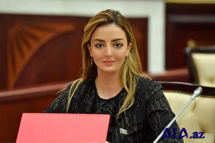 Könül Nurullayeva: “Sahibkarlıq sferasının hər təbəqəsi fəaliyyətini səmərəli şəkildə qurmalı, kiçik investorların risklərinin qorunmasına nail olunmalıdır”