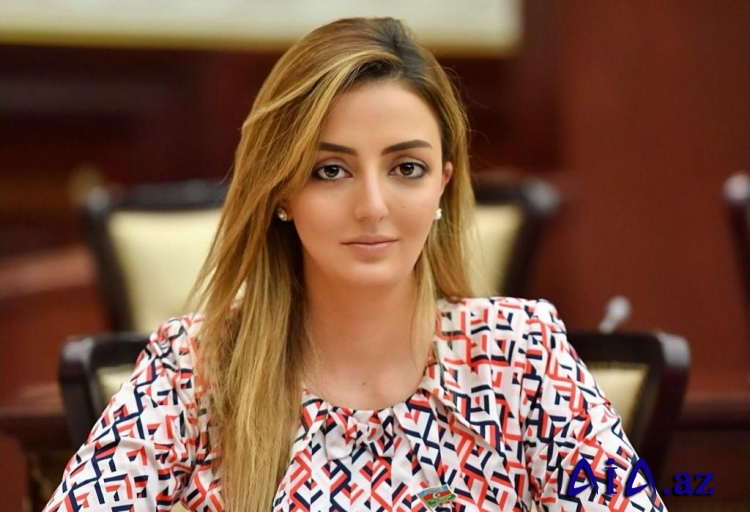 Könül Nurullayeva: “Beynəlxalq təşkilatlar Ermənistanın sərhəd təxribatları ilə bağlı sərt mövqe sərgiləməlidir”
