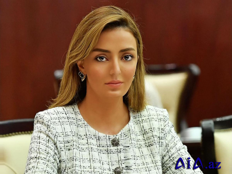 Könül Nurullayeva 8 aylıq fəaliyyət hesabatını təqdim edib