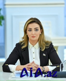Könül Nurullayeva sosial güzəştlərin əhatə dairəsinin genişləndirilməsini təklif edir