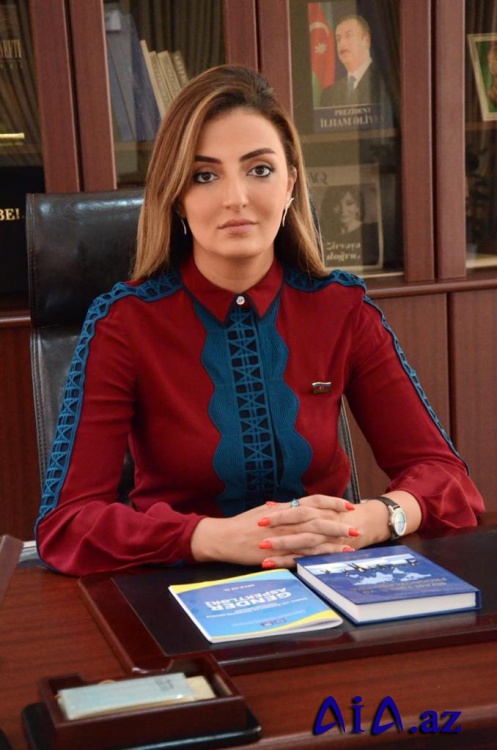 Könül Nurullayeva: “Beynəlxalq Ədalət Məhkəməsi də erməni terrorçuları “müharibə əsiri” hesab etmir”