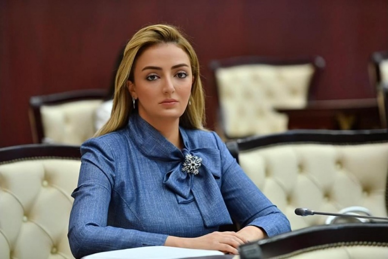 Könül Nurullayeva ərəb mətbuatının diqqətini Azərbaycanın yaratdığı tarixi reallığa yönəldib