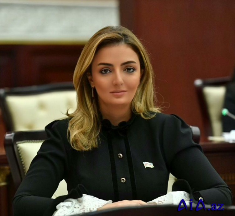 Könül Nurullayeva: Prezident İlham Əliyev Azərbaycanın dayanıqlı inkişafının təminatçısıdır