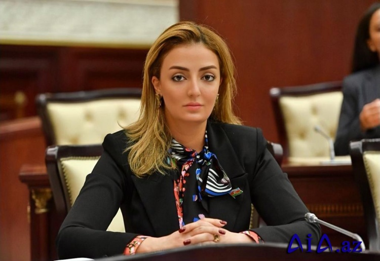 Könül Nurullayeva: “Armen Sarkisyanın istefası Ermənistanı siyasi böhrandan xilas etməyəcək”
