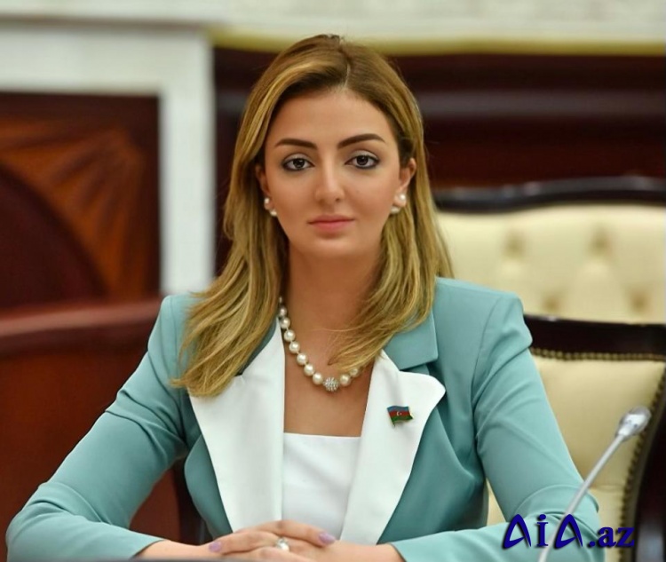 Könül Nurullayeva: “Prezidentin Gəncəyə səfəri Azərbaycanın hərtərəfli inkişafı konsepsiyasının tərkib hissəsidir “