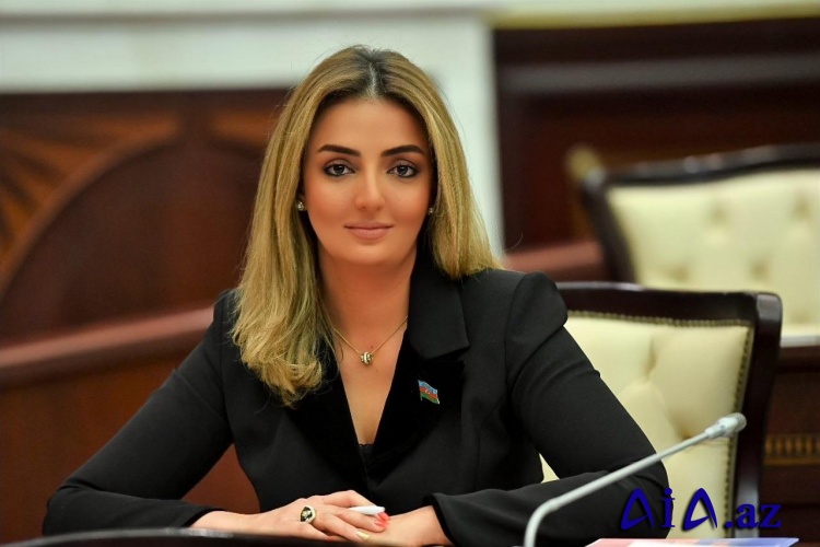 Könül Nurullayeva: “Aliment Fondunun yaradılması uşağın saxlanmasında yaranan çətinlikləri aradan qaldıracaq”