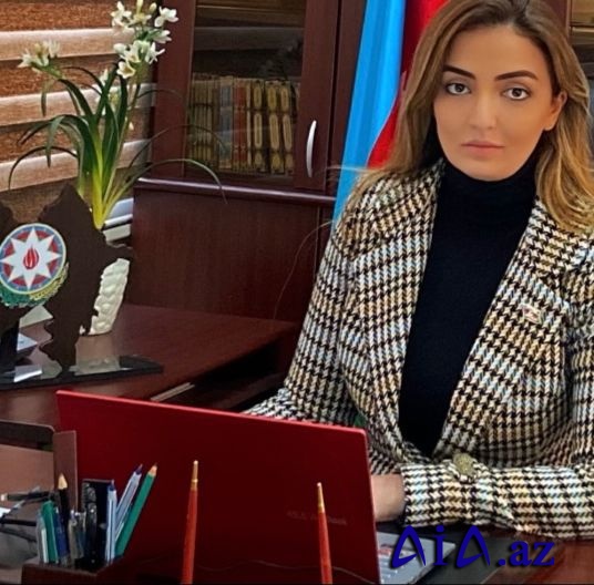 Könül Nurullayeva: “Ermənilərin və havadarlarının qəza səbəbindən qazın verilməsinin dayandırılması ətrafında humanitar şou yaratmasının heç bir əsası yoxdur”