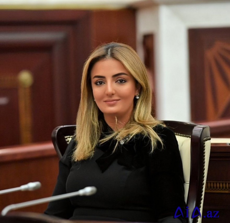 K.Nurullayeva: “Mümkün sülh sazişi üçün Ermənistan ortaq iradə göstərməyə məcburdur”
