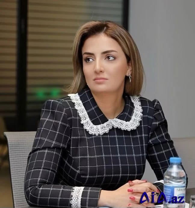 “Beynəlxalq təşkilatlar bərpa prosesinə dəstək verməlidir”