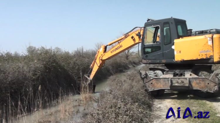 Ucarda meliorativ tədbirlər uğurla davam edir, suvarma mütəşəkkil aparılır.