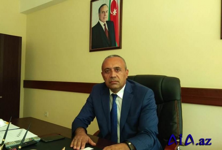 Sülh bizim üçün zəruridir