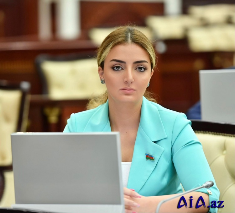 Millət vəkilindən əmək hüquqlarına dair vacib təkliflər