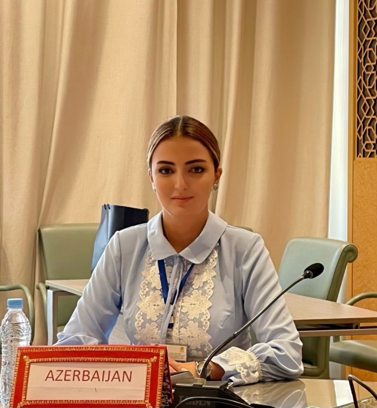 Könül Nurullayeva Tolerantlıq və Sülh üzrə Qlobal Şuranın Xarici Əlaqələr Komitəsinin iclasında çıxış edib
