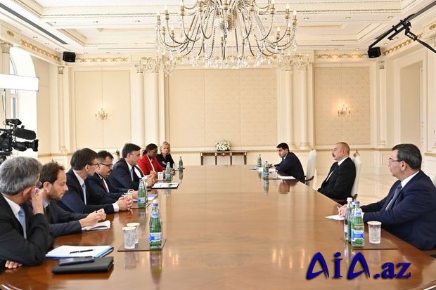 İlham Əliyev Avropa Parlamentinin Xarici Əlaqələr Komitəsinin sədrini qəbul etdi