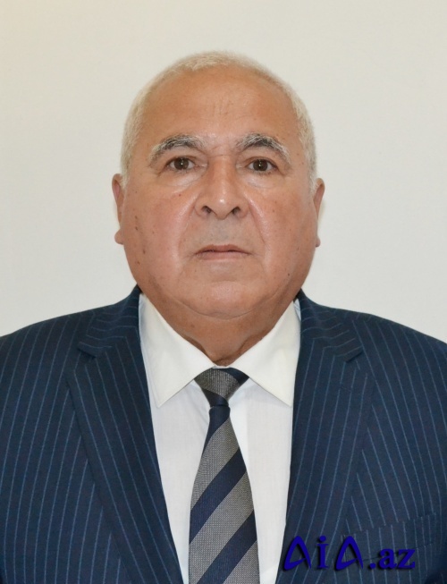 Ana dilimizin qorunmasına və inkişaf etdirilməsinə hər zaman ciddi diqqət göstərilməlidir