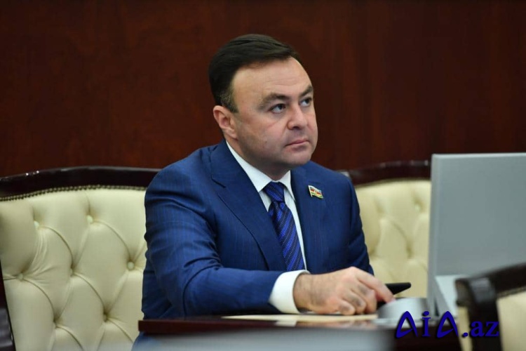 “Bir liderin sosial-iqtisadi çətinlikləri, 30 illik işğal problemini çözməsi müasir tarixdə az-az qarşılaşılan nümunədir” -