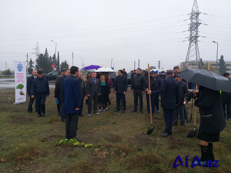 YAP-ın təsis edilməsinin 30-cu ildönümü ilə əlaqədar partiyanın Mingəçevir şəhər  təşkilatı ağacəkmə aksiyası keçirib.