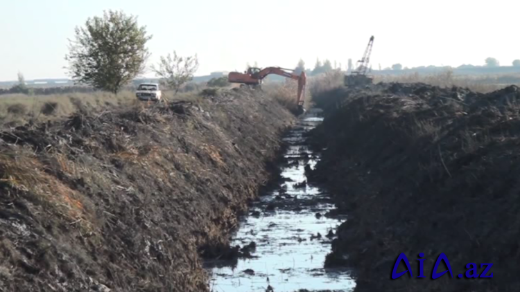 Salyan, Neftçala və Sabirabadda melioratov tədbirlər davam edir.