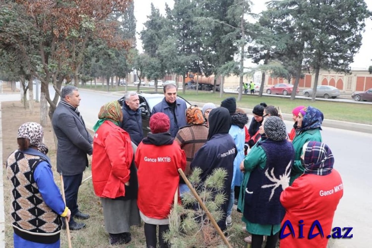 Gəncədə “Təmiz şəhər” aylığı çərçivəsində növbəti aksiya baş tutub