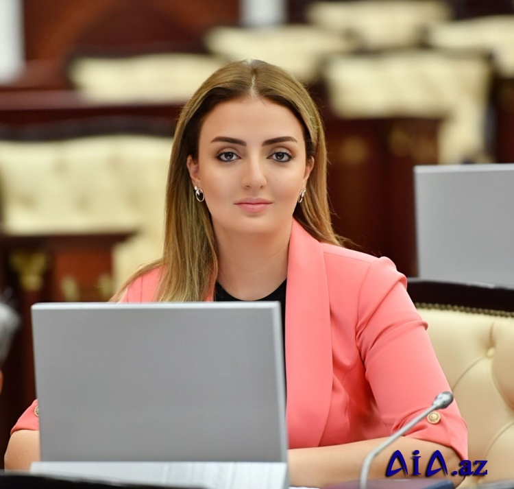 Azərbaycan gəncliyi öhdəsinə düşən vəzifələri həmişə layiqincə yerinə yetirib