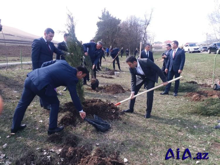 Gədəbəydə “Heydər Əliyev İli” çərçivəsində iməcilik keçirilib