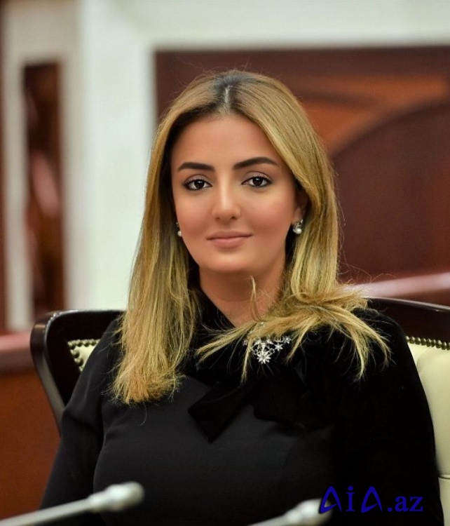 “Növbəti görüşlərə qədər Ermənistan sülhlə bağlı praktik addımlar atmalıdır”