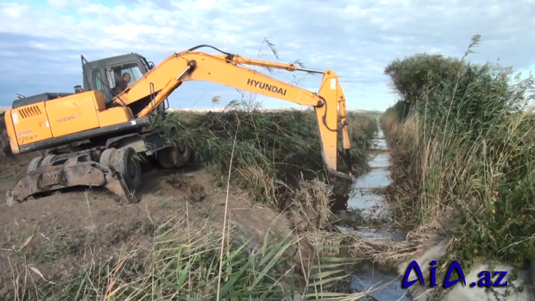 Yevlax Melioservis İdarəsi meliorativ tədbirlərini davam etdirir