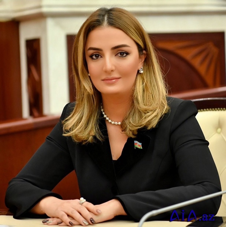 “7 fevral seçkiləri ölkədə siyasi sistemin daha da güclənməsini təmin edəcək”