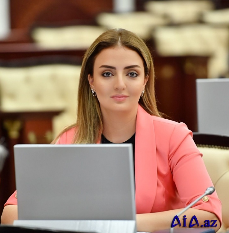 Ərəb mətbuatı: “Prezident İlham Əliyevin rəhbərliyi dövründə Azərbaycanın nüfuzu artmaqdadır”
