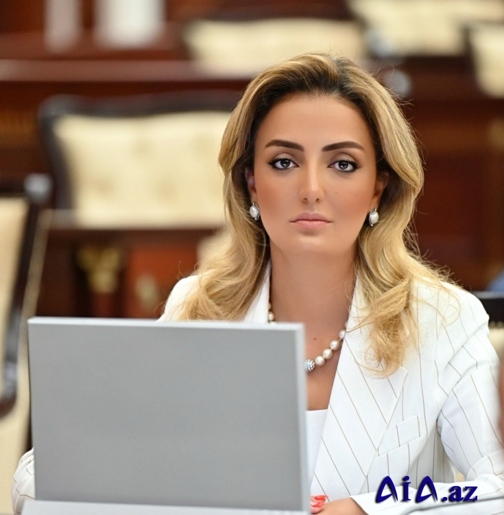“Azərbaycan-BƏƏ strateji münasibətləri daha da dərinləşir”