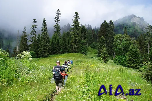 Gürcüstan turizm gəlirləri üzrə rekorda imza atıb