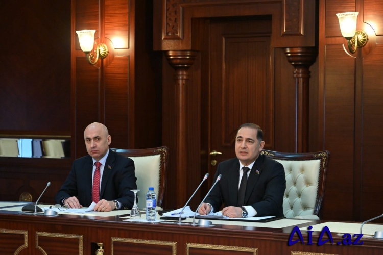 Milli Məclisin İqtisadi siyasət, sənaye və sahibkarlıq komitəsinin növbəti iclası keçirilib