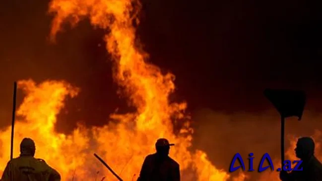 Estoniyada “Glory to Ukraine*” restoranı yandırılıb