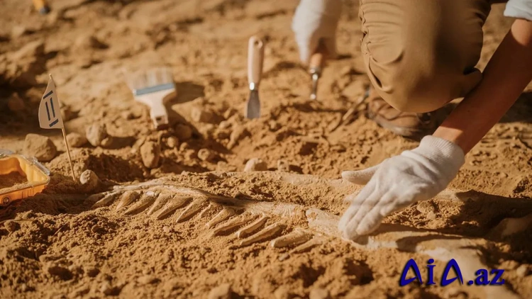 Arxeoloqlar Kusko yaxınlığında İnka tunelləri tapdılar