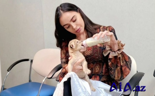 Leyla Əliyevanın şir balası ilə maraqlı GÖRÜNTÜSÜ