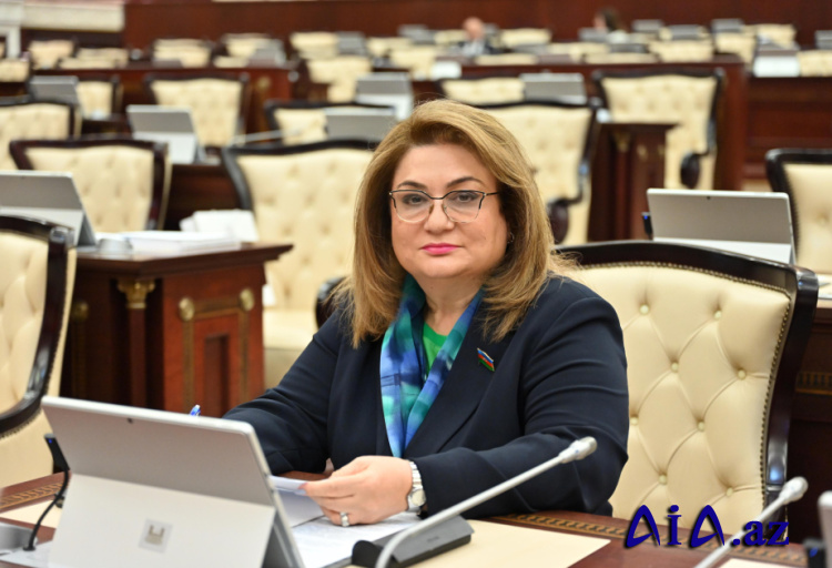 Azərbaycan və Vyetnam münasibətləri: tarixi dostluq, yeni strateji əməkdaşlıq