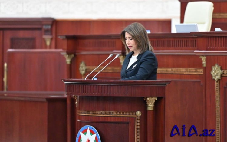 Bahar Muradova parlamentdə hesabat verdi
