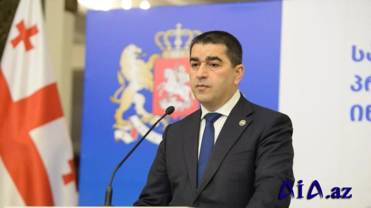 Almaniya Gürcüstanda kimlərə sponsorluq edir?!